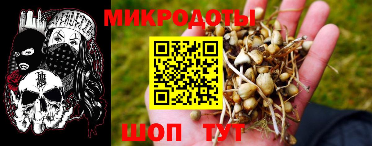 Кыштым  Галлюциногенные грибы прущие грибы  Псилоцибиновые грибы ЛСД  Вход с VPN 
