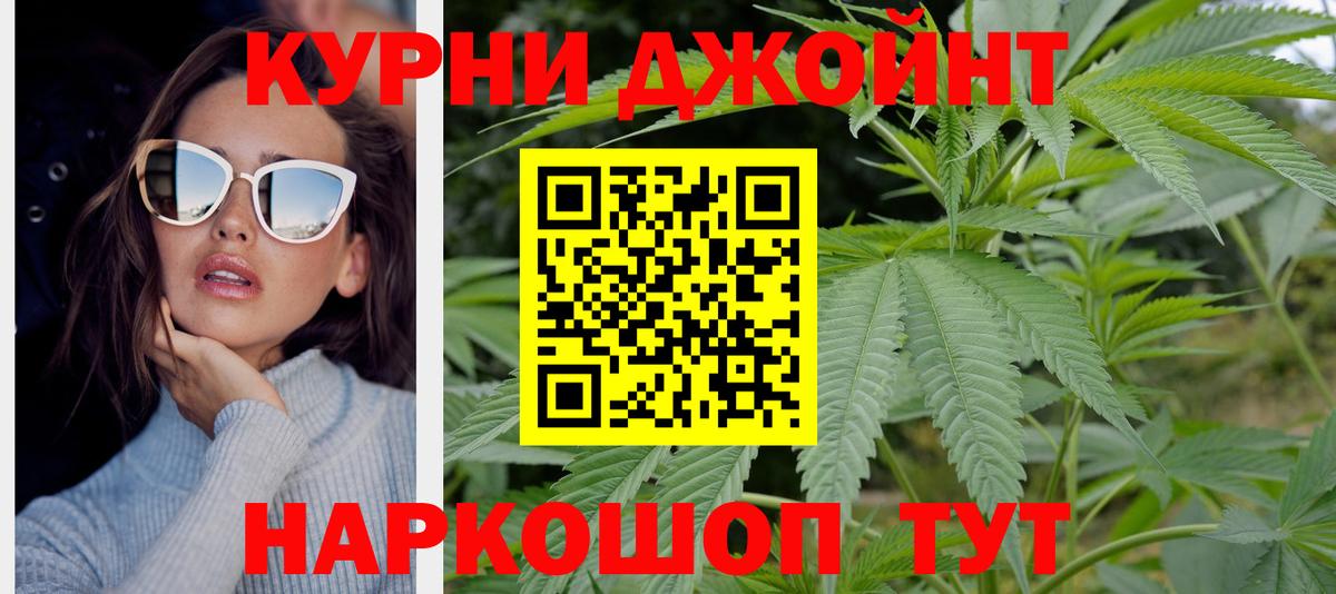 Каннабис сатива Кыштым